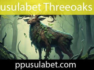 Pusulabet çevrimiçi slot oyunları